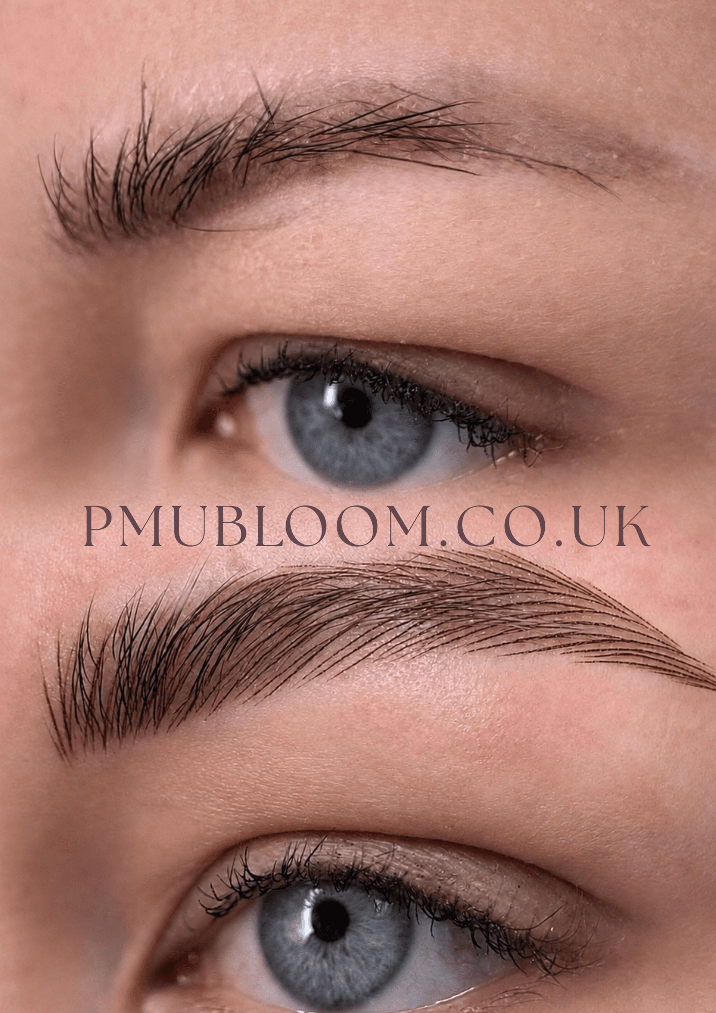 Brows
